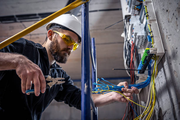Best Electrical Upgrades for Homes  in Olivia, MN