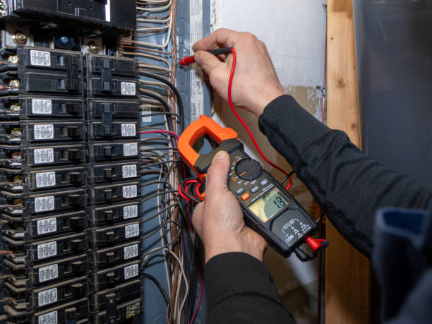 Best Electrician for Home Renovation  in Olivia, MN