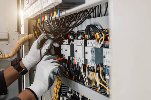 Best 24-Hour Electrician  in Olivia, MN